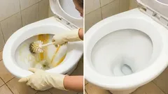 Yellow toilet stains will disappear in under an hour: Here’s what to put in the bowl