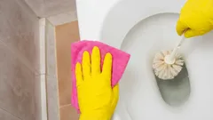 Your toilet will sparkle without scrubbing: Drop this in overnight and wake up to a surprise