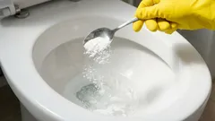 A toilet clog will disappear without a trace: A simple method that works better than chemicals