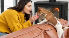 Why You Should Always Pet Your Dog Before Leaving the House: Advice for Every Owner