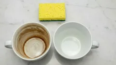Tea and Coffee Stains on Cups Will Vanish Instantly: Home Remedies That Really Work