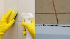 Spotless Bathroom: How to Clean Mold Off Tile and Grout Effortlessly
