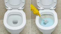Your Toilet Will Gleam Bright White: Toss This In Overnight and the Result Will Surprise You