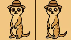 Attention Puzzle: Can You Spot 3 Differences in the Picture in 49 Seconds?