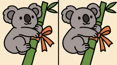 A Puzzle for the Most Observant: Can You Find 3 Differences in the Koala Picture in 33 Seconds?